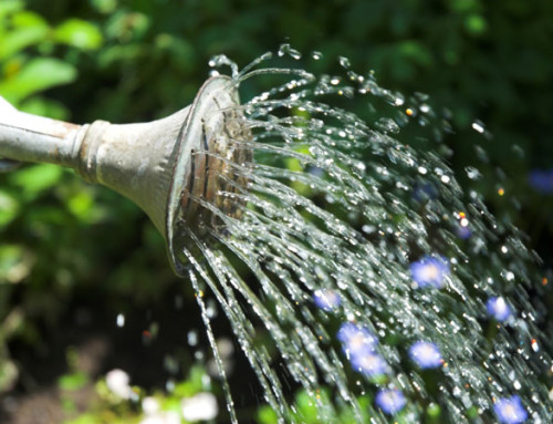 The Blessing of a “Watered Garden” Life