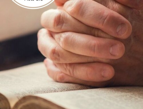 Weekly Bulletin – June 1, 2025