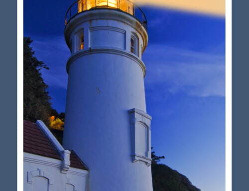 Weekly Bulletin – July 20, 2025